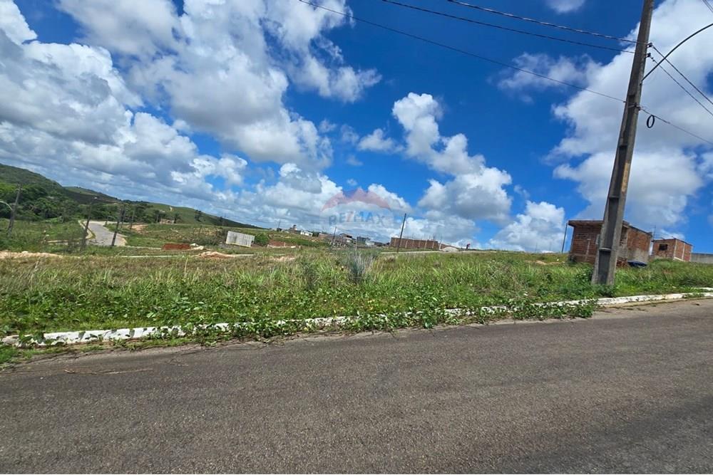Terreno - Venda - Cabo de Santo Agostinho , Pernambuco - WhatsApp Image 2025-02-10 at 14.20.08.jpeg - 850281036-52