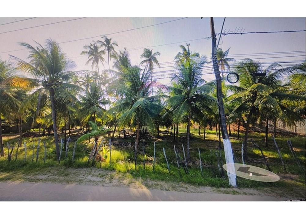 Chácara / Sítio / Fazenda - Venda - Maceió , Alagoas - PHOTO-2025-09-12-11-36-10 (1).jpg - 850711032-7