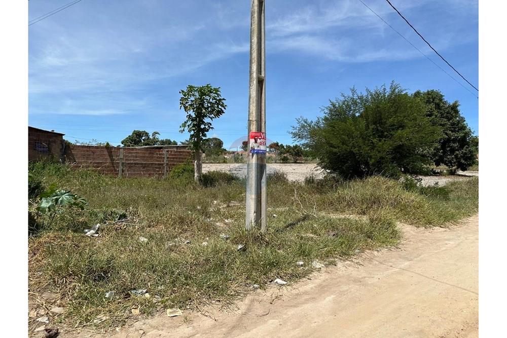 Terreno - Venda - Garanhuns , Pernambuco - WhatsApp Image 2025-05-13 at 21.24.52 (12).jpeg - 850131003-443