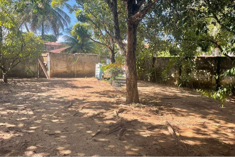Terreno - Venda - Ipojuca , Pernambuco - IMG-20250613-WA0066.jpg - 850091046-361
