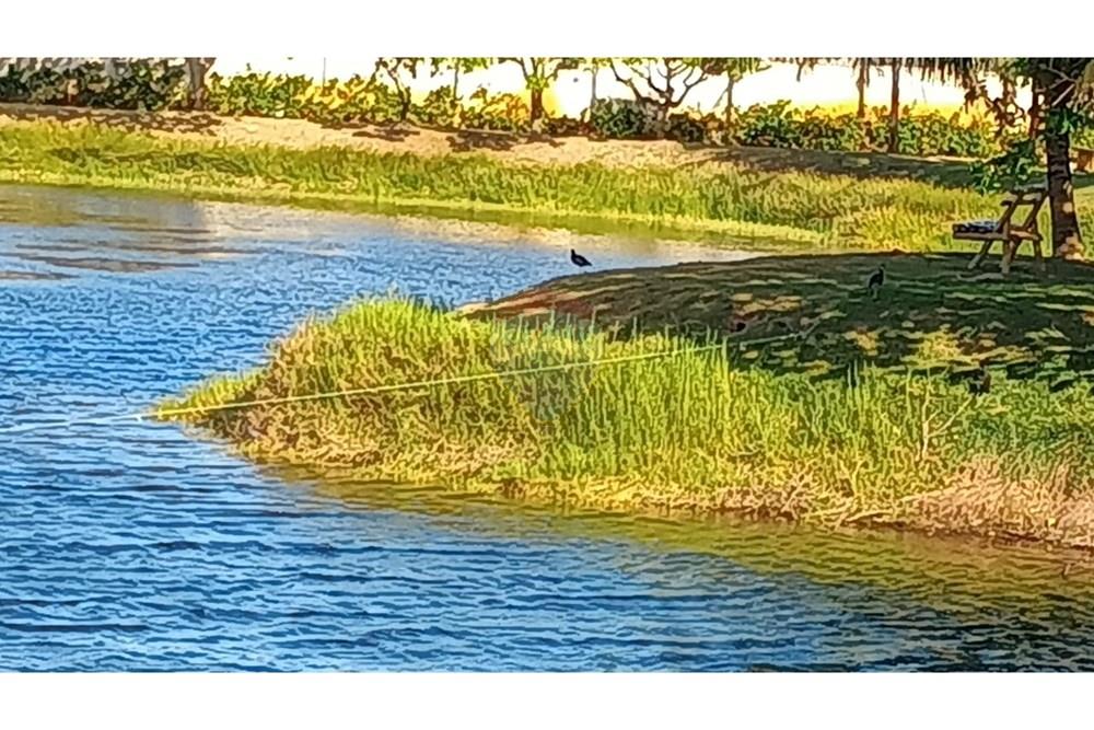 Casa de Condomínio - Venda - Aracaju , Sergipe - Imagem do WhatsApp de 2024-12-11 à(s) 15.04.42_e2e1b622.jpg - 850581069-62