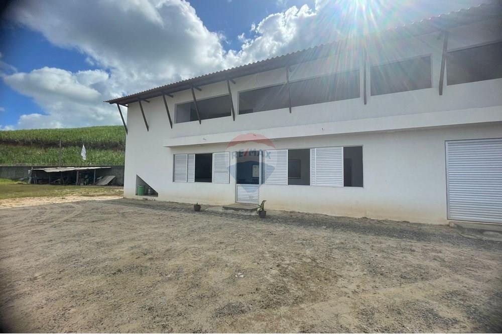 Terreno - Alugar - Ipojuca , Pernambuco - WhatsApp Image 2025-05-28 at 16.24.57 (2).jpeg - 850091046-354