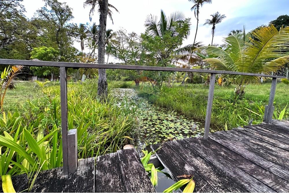 Terreno - Venda - Barra de Santo Antônio , Alagoas - IMG_3372.JPEG - 850491016-41