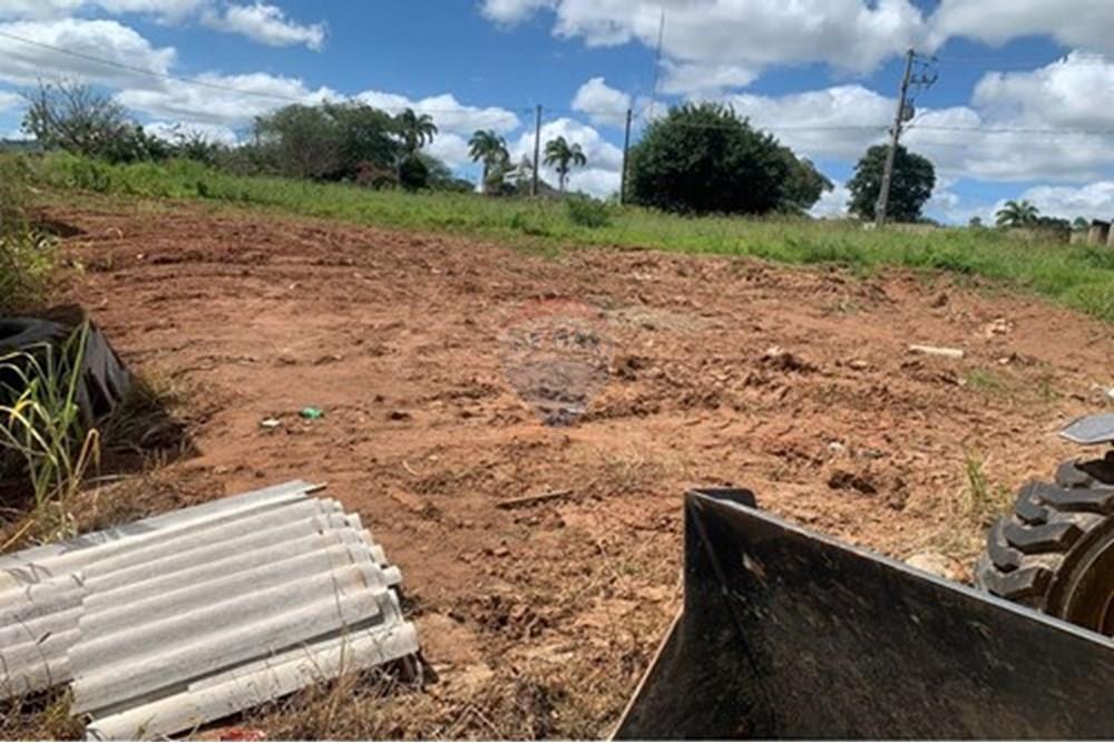 Terreno - Venda - Palmeira dos Índios , Alagoas - L_9f2de5da-005f-4b1b-99b1-31484f1ec9e9.jpg - 850271243-2