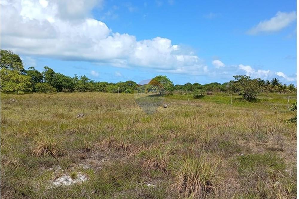 Chácara / Sítio / Fazenda - Venda - Piaçabuçu , Alagoas - IMG-20250221-WA0112.jpg - 850271205-15