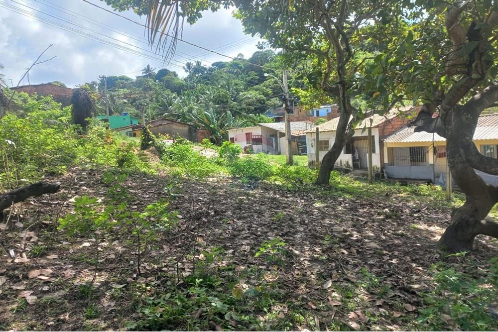 Terreno - Venda - Maceió , Alagoas - IMG-20250707-WA0020.jpg - 850711016-38