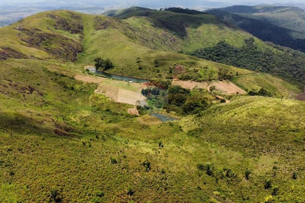 Chácara / Sítio / Fazenda - Venda - Bonito , Pernambuco - WhatsApp Image 2024-12-05 at 15.53.59 (6).jpeg - 850051012-116