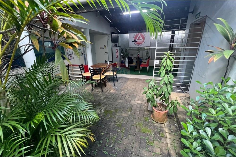 Ponto Comercial/ Loja - Alugar - Recife , Pernambuco - IMG-20250903-WA0042.jpg - 850701012-98