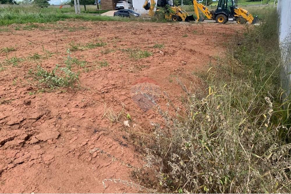 Terreno - Venda - Palmeira dos Índios , Alagoas - f42af889-06c9-43ef-8cf1-751e7242b62d.jpg - 850271243-2