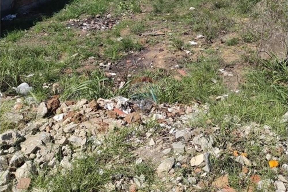 Terreno - Venda - Bonito , Pernambuco - Imagem do WhatsApp de 2025-02-18 à(s) 14.01.24_90419832.jpg - 850051012-93