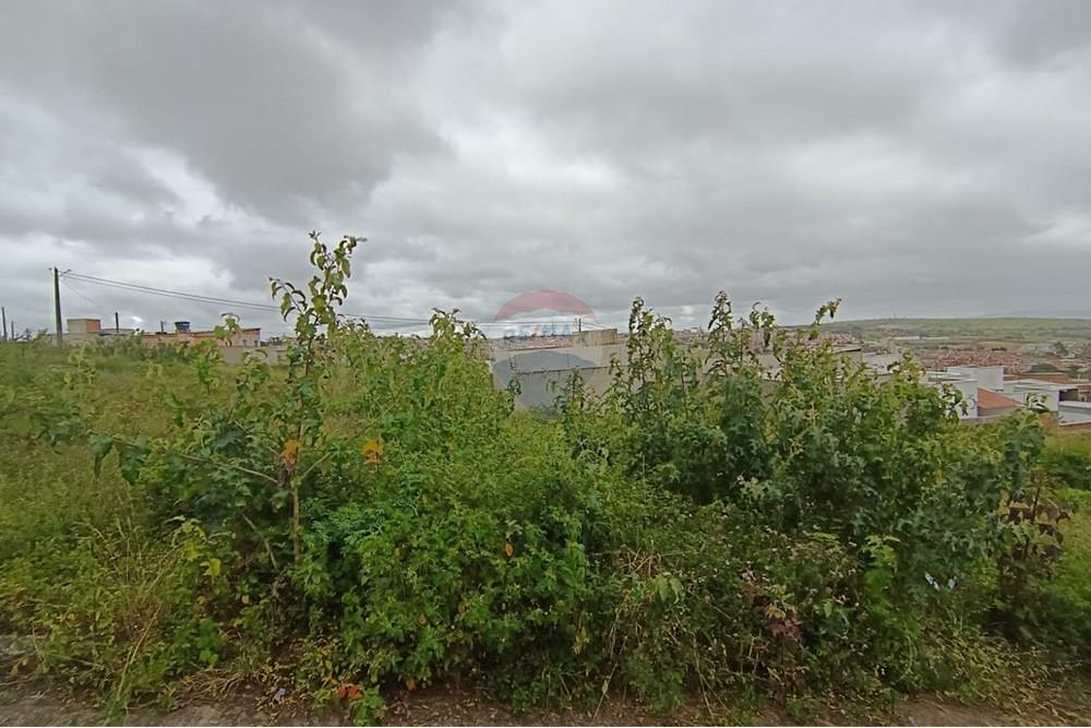 Terreno - Venda - Garanhuns , Pernambuco - WhatsApp Image 2025-10-14 at 10.45.37 (4).jpeg - 850741008-1