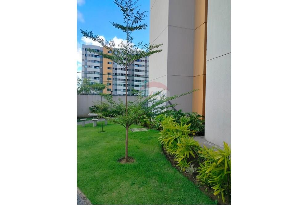 Apartamento - Venda - Recife , Pernambuco - Imagem do WhatsApp de 2025-08-18 à(s) 21.22.24_b57b4478.jpg - 850191024-481