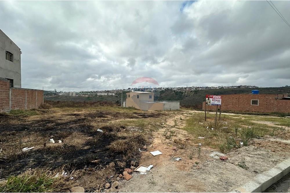 Terreno - Venda - Garanhuns , Pernambuco - WhatsApp Image 2025-01-08 at 17.00.51.jpeg - 850131003-370