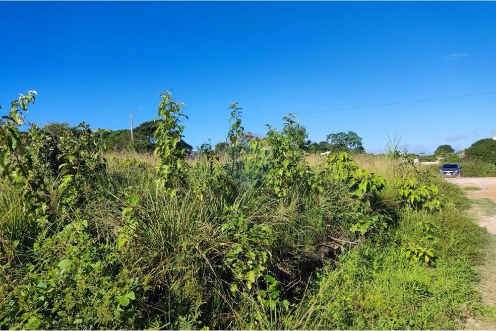 Terreno - Venda - Cabo de Santo Agostinho , Pernambuco - WhatsApp Image 2025-06-21 at 12.39.07 (4).jpeg - 850281001-54