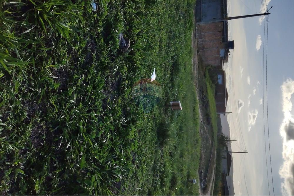 Terreno - Venda - Bonito , Pernambuco - WhatsApp Image 2025-03-10 at 08.43.29.jpeg - 850051012-96