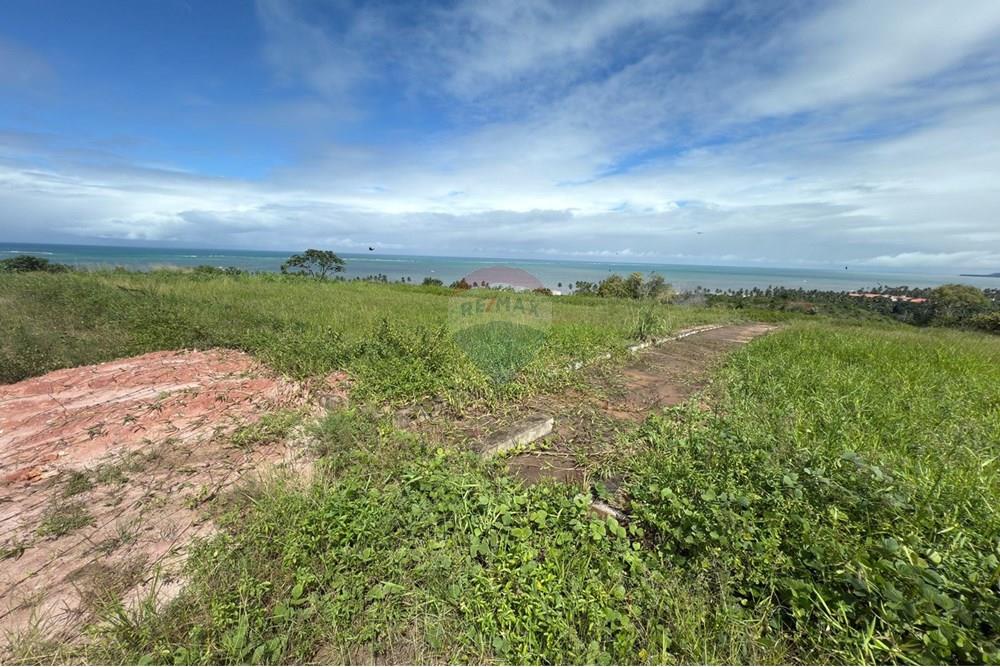 Terreno - Venda - Maragogi , Alagoas - WhatsApp Image 2025-07-25 at 15.29.42 (1).jpeg - 850291001-265
