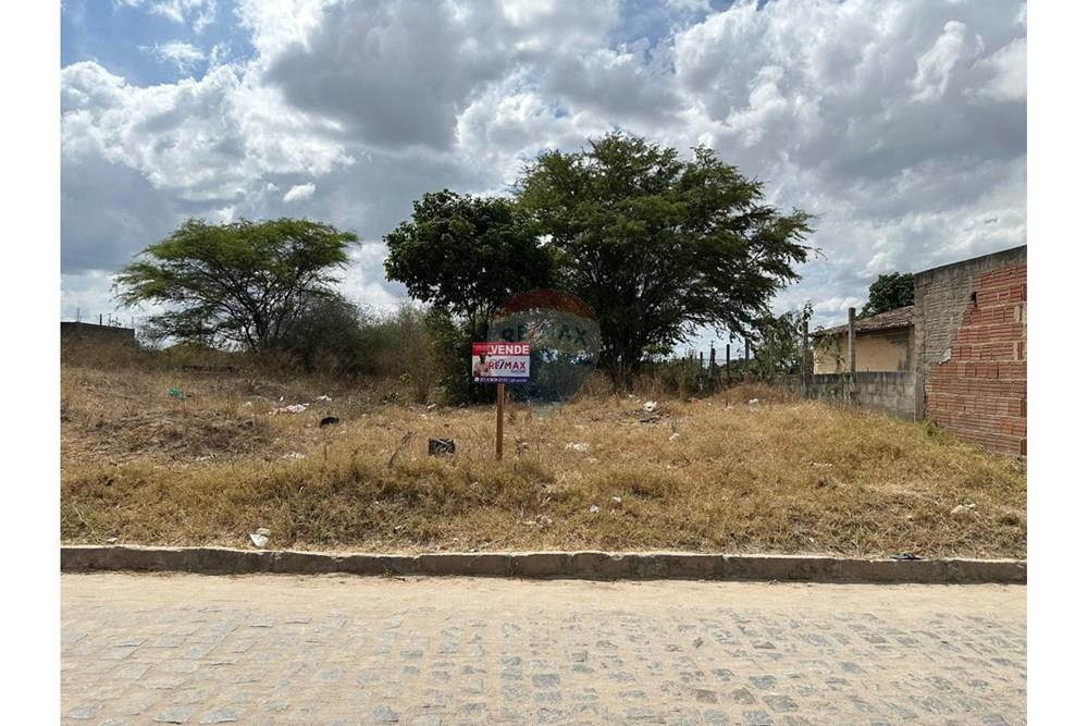 Terreno - Venda - Lajedo , Pernambuco - WhatsApp Image 2024-12-03 at 15.00.04 (3).jpeg - 850131003-356