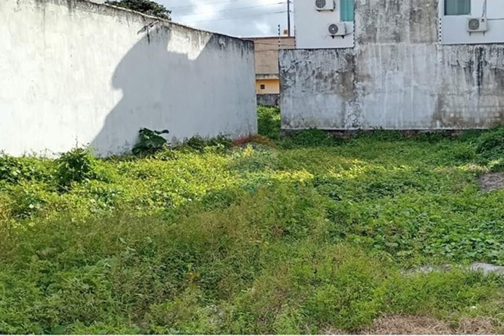 Terreno - Venda - Tamandaré , Pernambuco - WhatsApp Image 2025-09-11 at 15.22.22.jpeg - 850221044-4