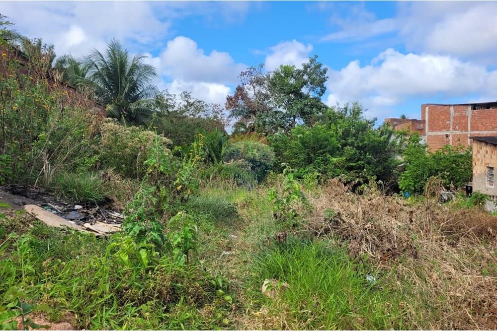 Terreno - Venda - Cabo de Santo Agostinho , Pernambuco - WhatsApp Image 2024-11-05 at 13.10.01 (3).jpeg - 850281001-5