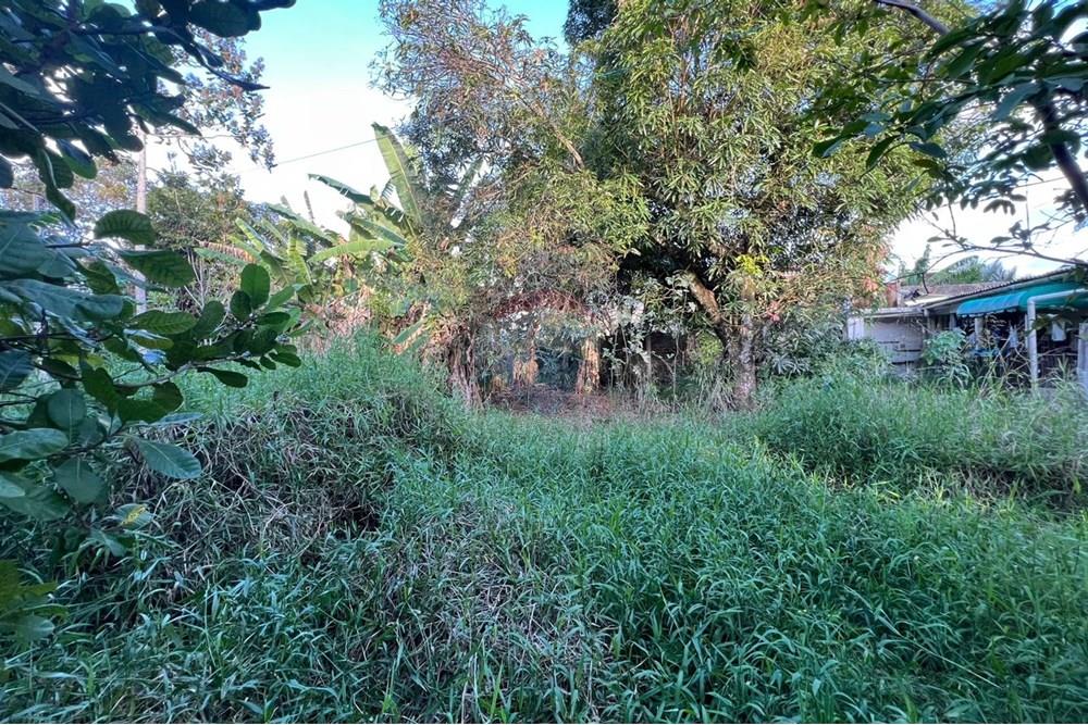 Chácara / Sítio / Fazenda - Venda - Maceió , Alagoas - fd95ab48-30e9-4015-9d6c-ab1376964f99.jpg - 850271213-2