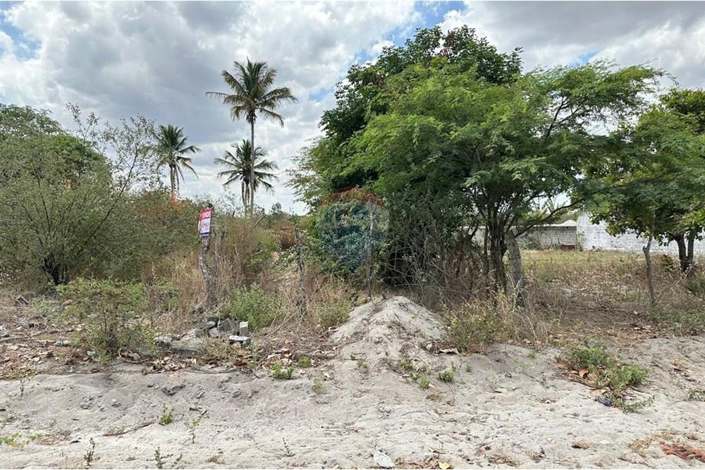 Terreno - Venda - Lajedo , Pernambuco - WhatsApp Image 2024-12-03 at 15.52.46 (3).jpeg - 850131003-358