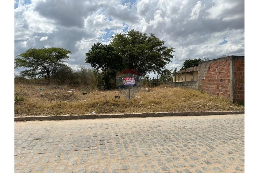Terreno - Venda - Lajedo , Pernambuco - WhatsApp Image 2024-12-03 at 15.00.04 (6).jpeg - 850131003-356