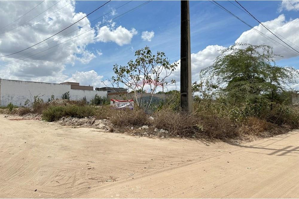 Terreno - Venda - Lajedo , Pernambuco - WhatsApp Image 2024-12-03 at 21.00.07 (5).jpeg - 850131003-359