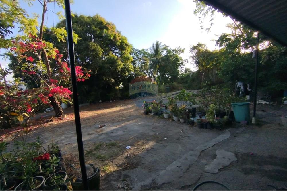 Terreno - Venda - Paulista , Pernambuco - WhatsApp Image 2024-11-30 at 16.35.15 (1).jpeg - 850721002-53