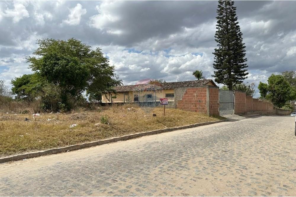 Terreno - Venda - Lajedo , Pernambuco - WhatsApp Image 2024-12-03 at 15.00.02.jpeg - 850131003-356