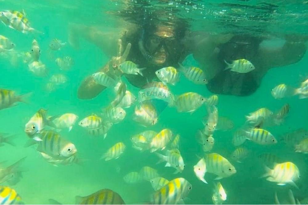 Terreno - Venda - Porto de Pedras , Alagoas - 35.jpg - 850661038-32