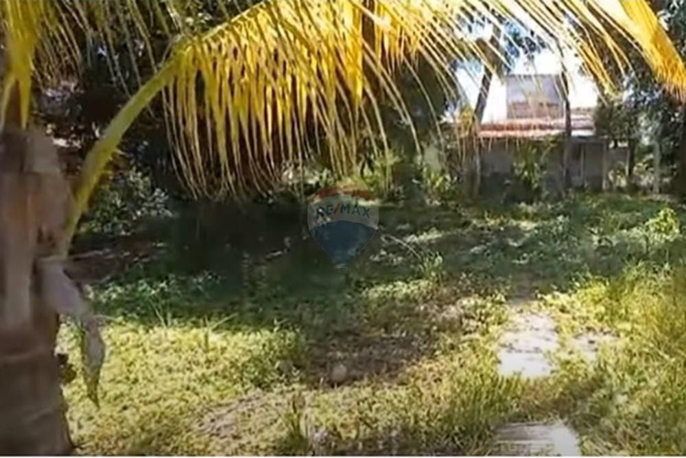 Terreno - Venda - Jaboatão dos Guararapes , Pernambuco - Foto dentro do terreno IV.jpg - 850601020-8