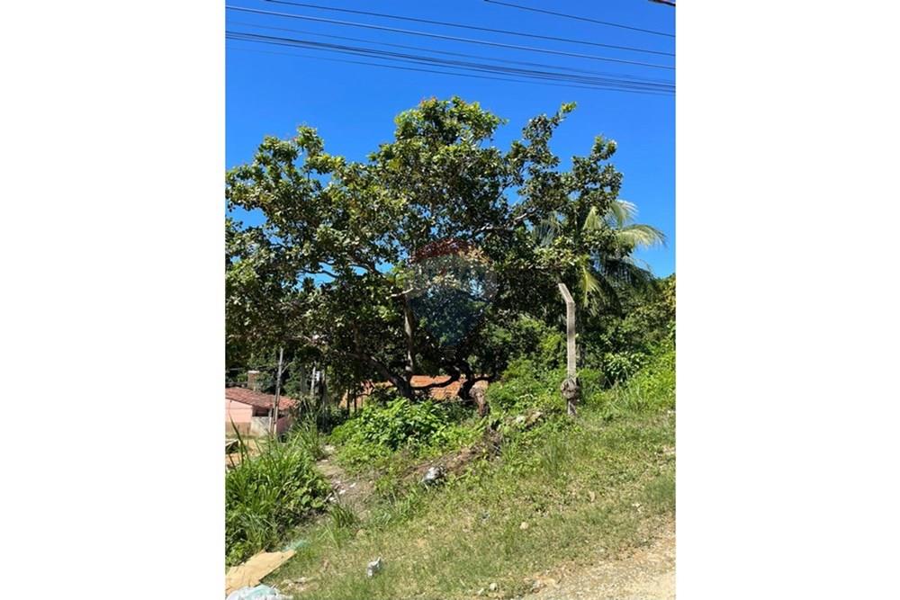 Terreno - Venda - Maceió , Alagoas - IMG-20250707-WA0006.jpg - 850711016-38