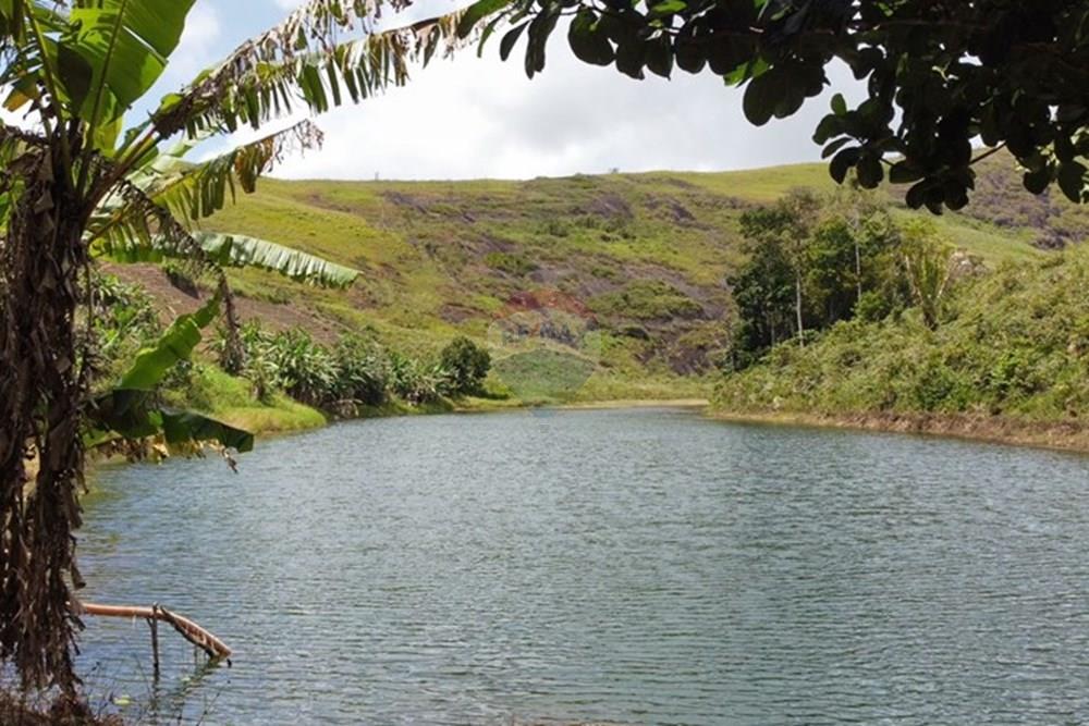 Chácara / Sítio / Fazenda - Venda - Bonito , Pernambuco - WhatsApp Image 2024-12-05 at 15.54.00 (5).jpeg - 850051012-116