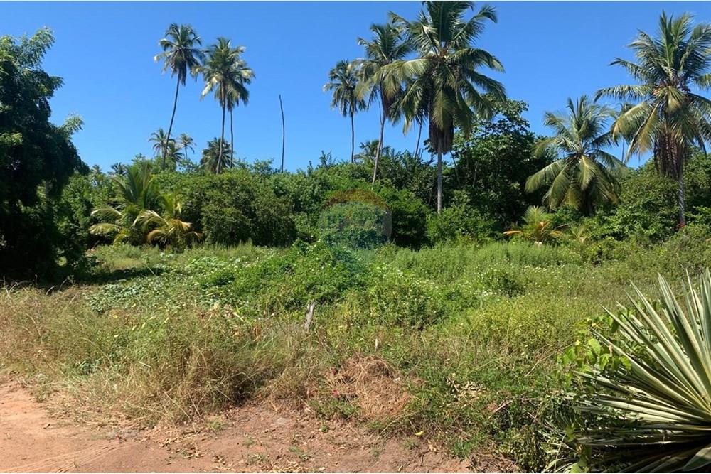 Terreno - Venda - Porto de Pedras , Alagoas - 8.jpg - 850661038-32