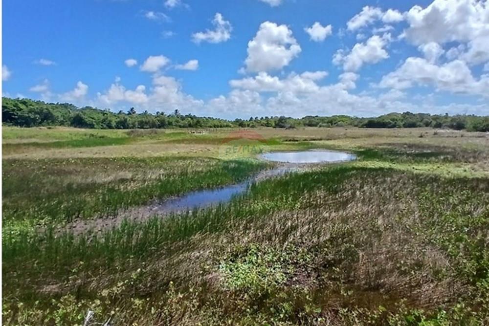 Chácara / Sítio / Fazenda - Venda - Piaçabuçu , Alagoas - IMG-20250221-WA0101.jpg - 850271205-15