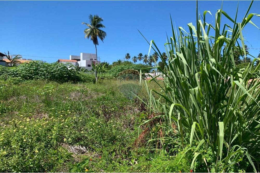 Terreno - Venda - Porto de Pedras , Alagoas - 7.jpg - 850661038-25
