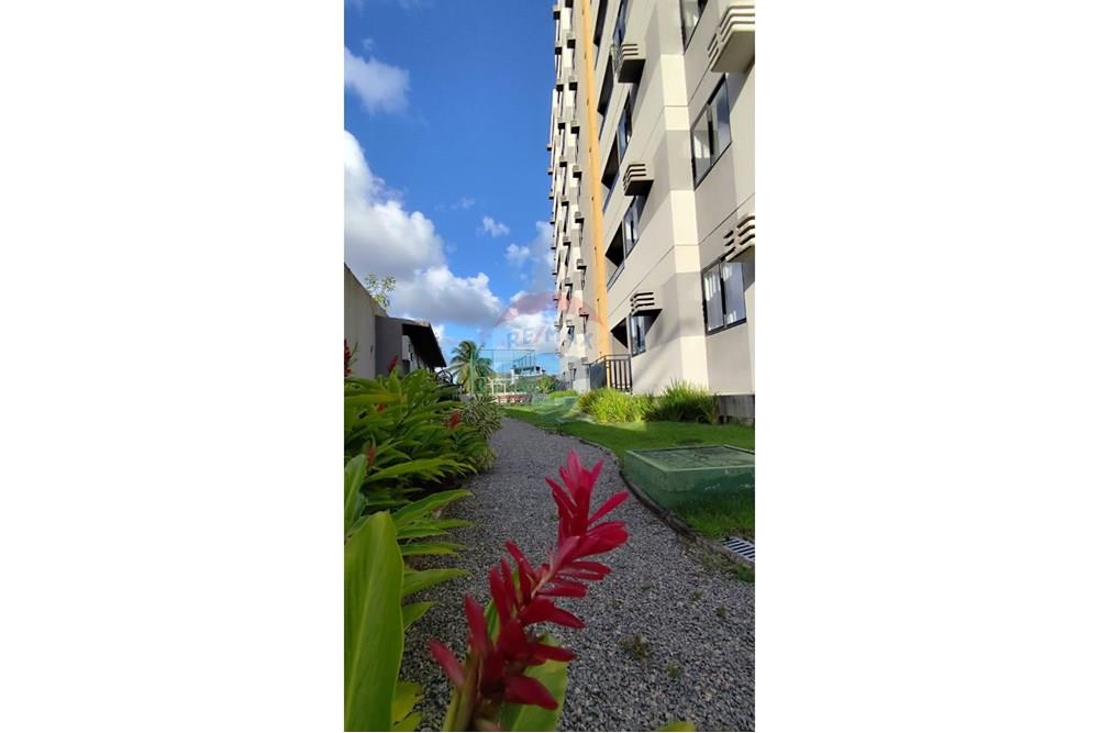 Apartamento - Venda - Recife , Pernambuco - Imagem do WhatsApp de 2025-08-18 à(s) 20.51.29_6c40930f.jpg - 850191024-481