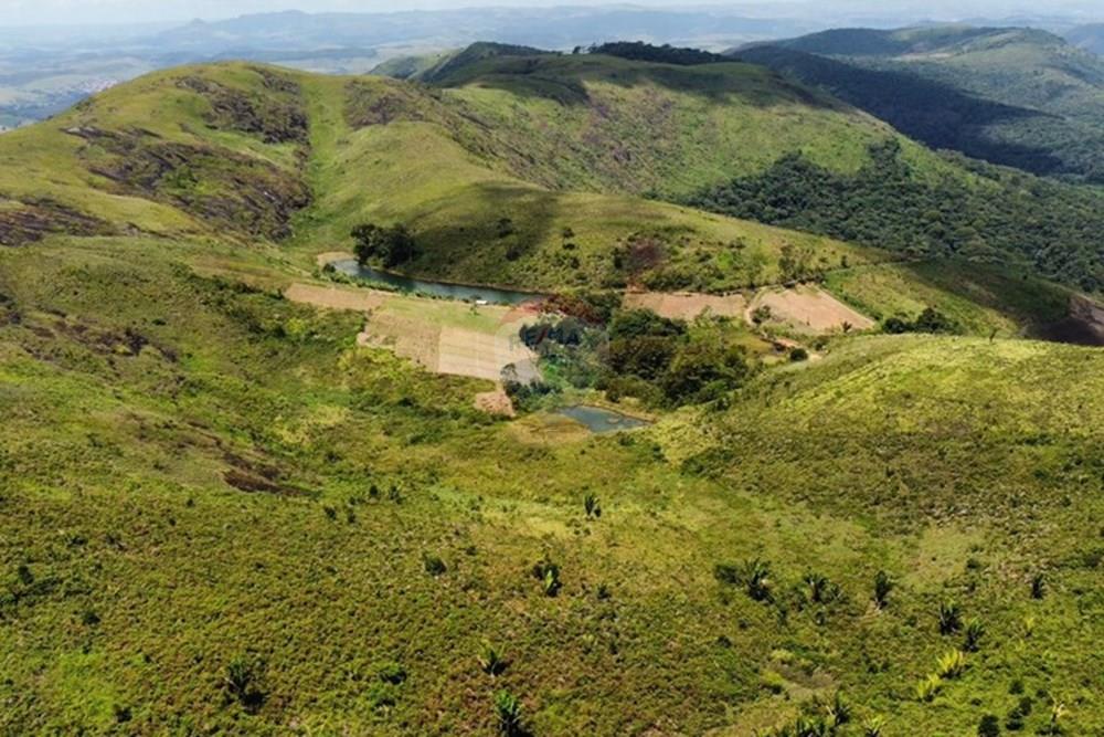 Chácara / Sítio / Fazenda - Venda - Bonito , Pernambuco - WhatsApp Image 2024-12-05 at 15.54.00.jpeg - 850051012-116