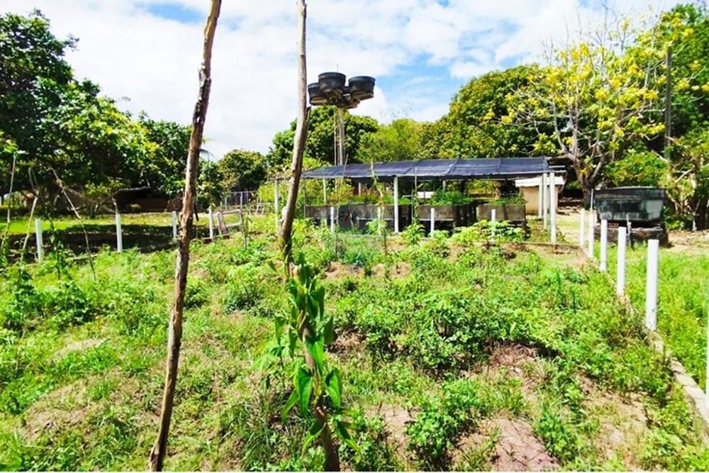 Chácara / Sítio / Fazenda - Venda - Igarassu , Pernambuco - WhatsApp Image 2025-01-23 at 15.12.02 (1).jpeg - 850071019-161