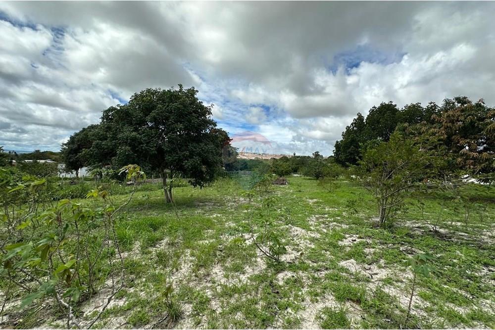 Terreno - Venda - Garanhuns , Pernambuco - TAMANHO DO TERRENO SEU NILTON.jpg - 850741005-15