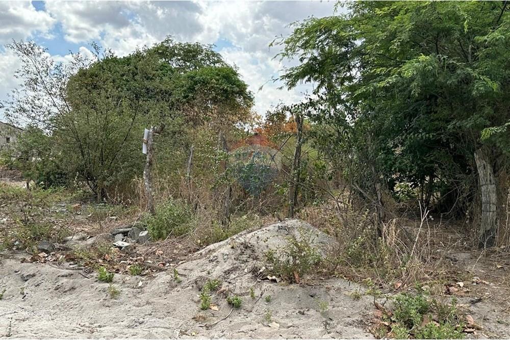 Terreno - Venda - Lajedo , Pernambuco - WhatsApp Image 2024-12-03 at 15.52.46 (6).jpeg - 850131003-358