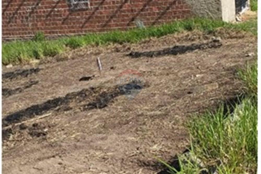 Terreno - Venda - Bonito , Pernambuco - Imagem do WhatsApp de 2025-02-25 à(s) 08.41.12_2f23c339.jpg - 850051012-94