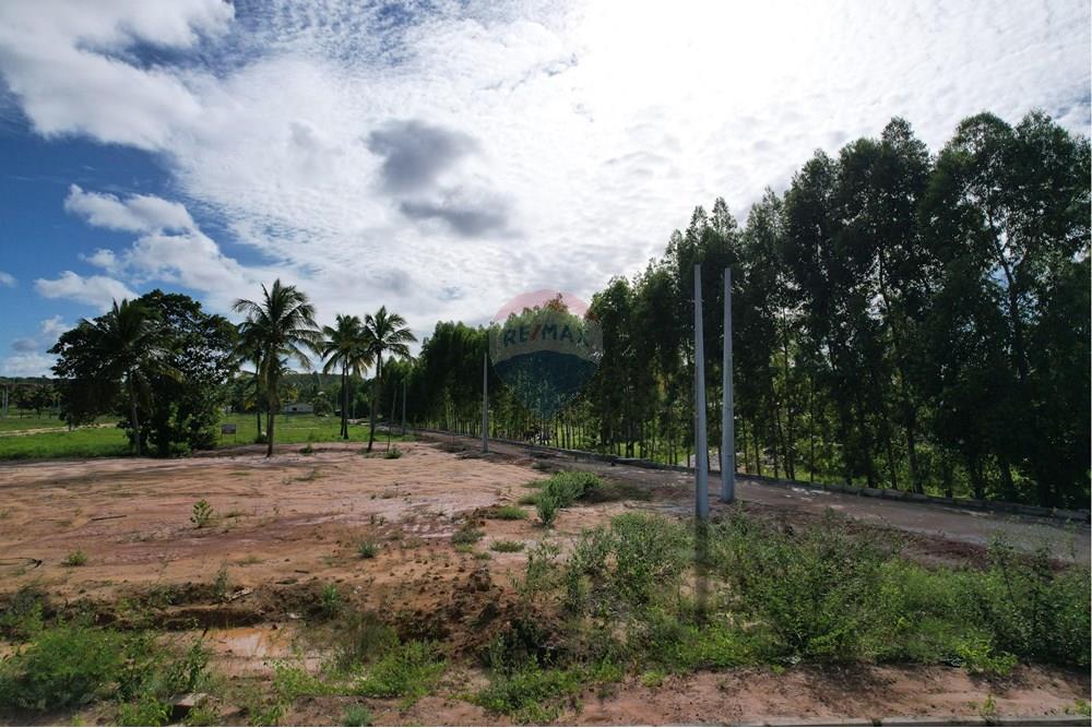 Terreno - Venda - Maragogi , Alagoas - Imagem do WhatsApp de 2025-07-02 à(s) 12.53.18_9d9481b4.jpg - 850291015-16