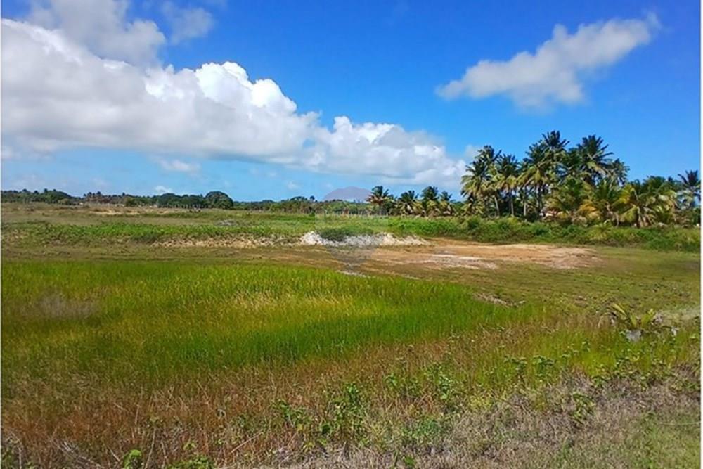 Chácara / Sítio / Fazenda - Venda - Piaçabuçu , Alagoas - IMG-20250221-WA0100.jpg - 850271205-15
