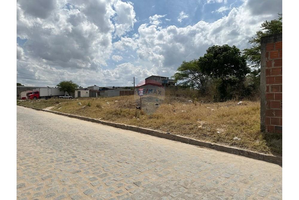 Terreno - Venda - Lajedo , Pernambuco - WhatsApp Image 2024-12-03 at 15.00.04 (1).jpeg - 850131003-356