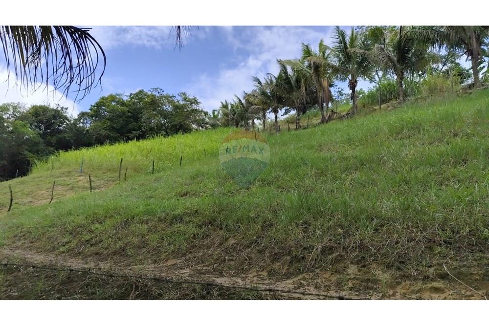 Chácara / Sítio / Fazenda - Venda - Maceió , Alagoas - HARAS19.jpg - 850141043-95