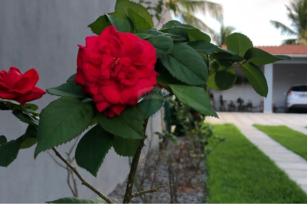 Casa - Venda - Ipojuca , Pernambuco - 4d6a656c-f575-43a6-a035-df67d1792c88.jpeg - 850091085-11