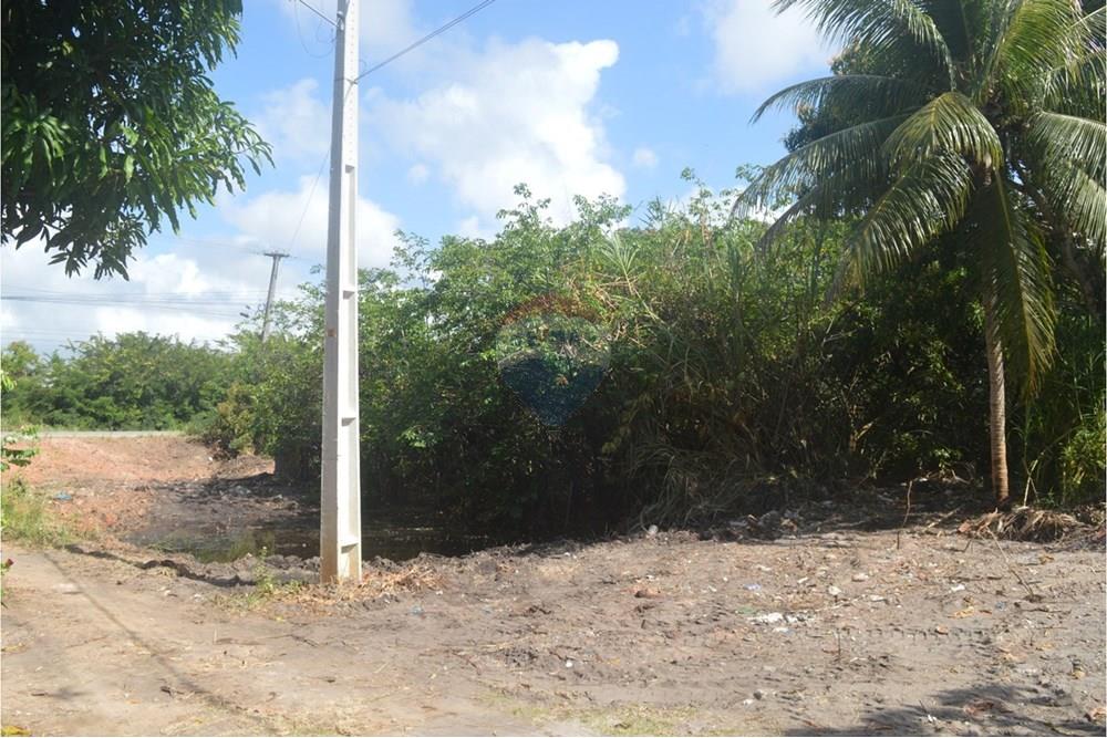 Terreno - Venda - Maragogi , Alagoas - WhatsApp Image 2025-10-19 at 9.01.34 AM (1).jpeg - 850291008-53