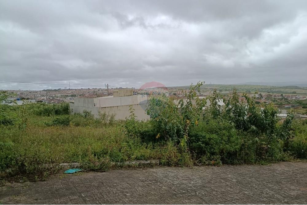 Terreno - Venda - Garanhuns , Pernambuco - WhatsApp Image 2025-10-14 at 10.45.37.jpeg - 850741008-1
