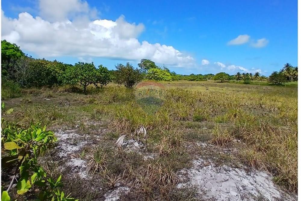 Chácara / Sítio / Fazenda - Venda - Piaçabuçu , Alagoas - IMG-20250221-WA0115.jpg - 850271205-15